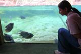 FL050408025
